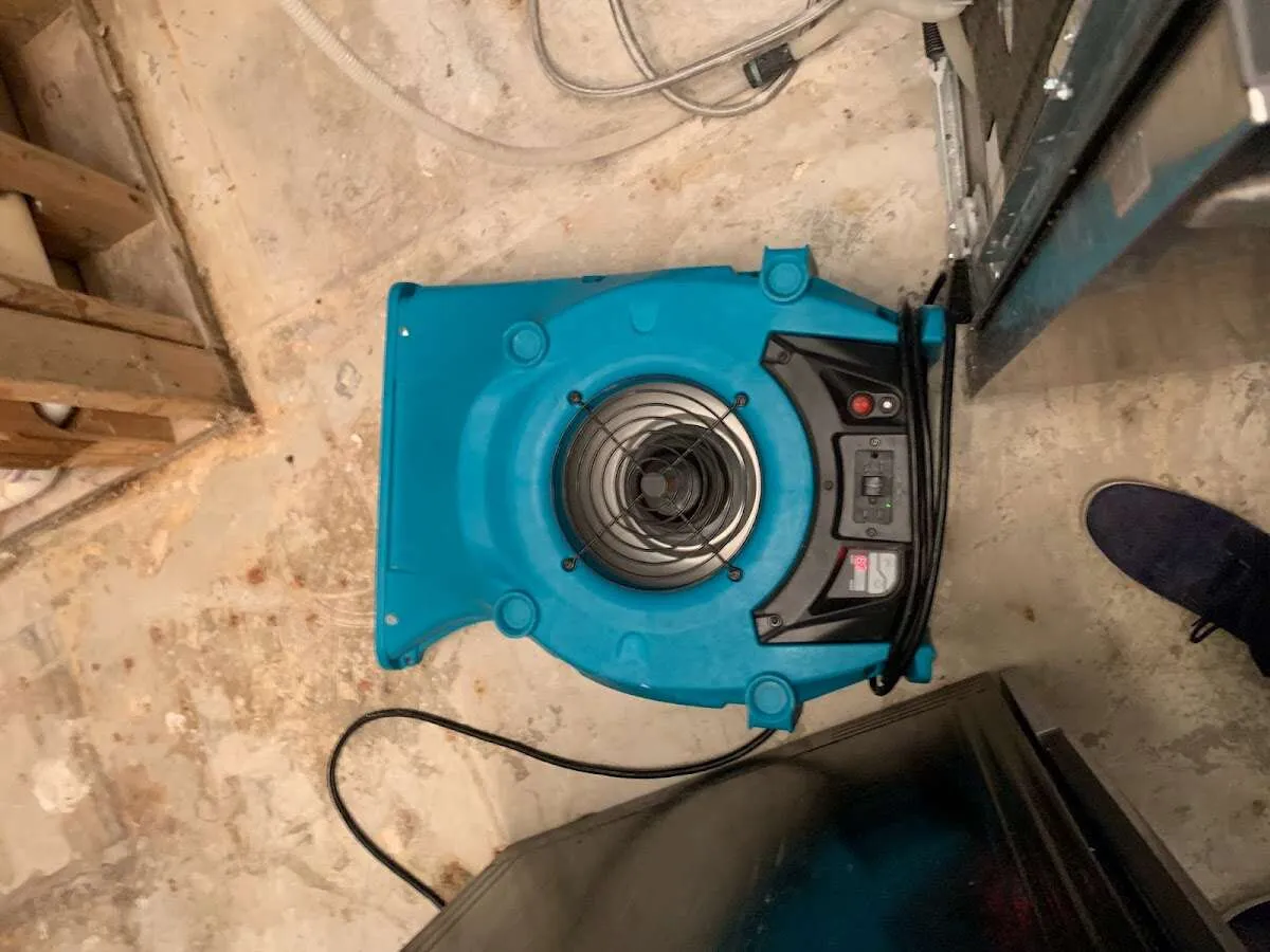 Air mover drying equipment for Mold Remediation & Removal in Mukilteo