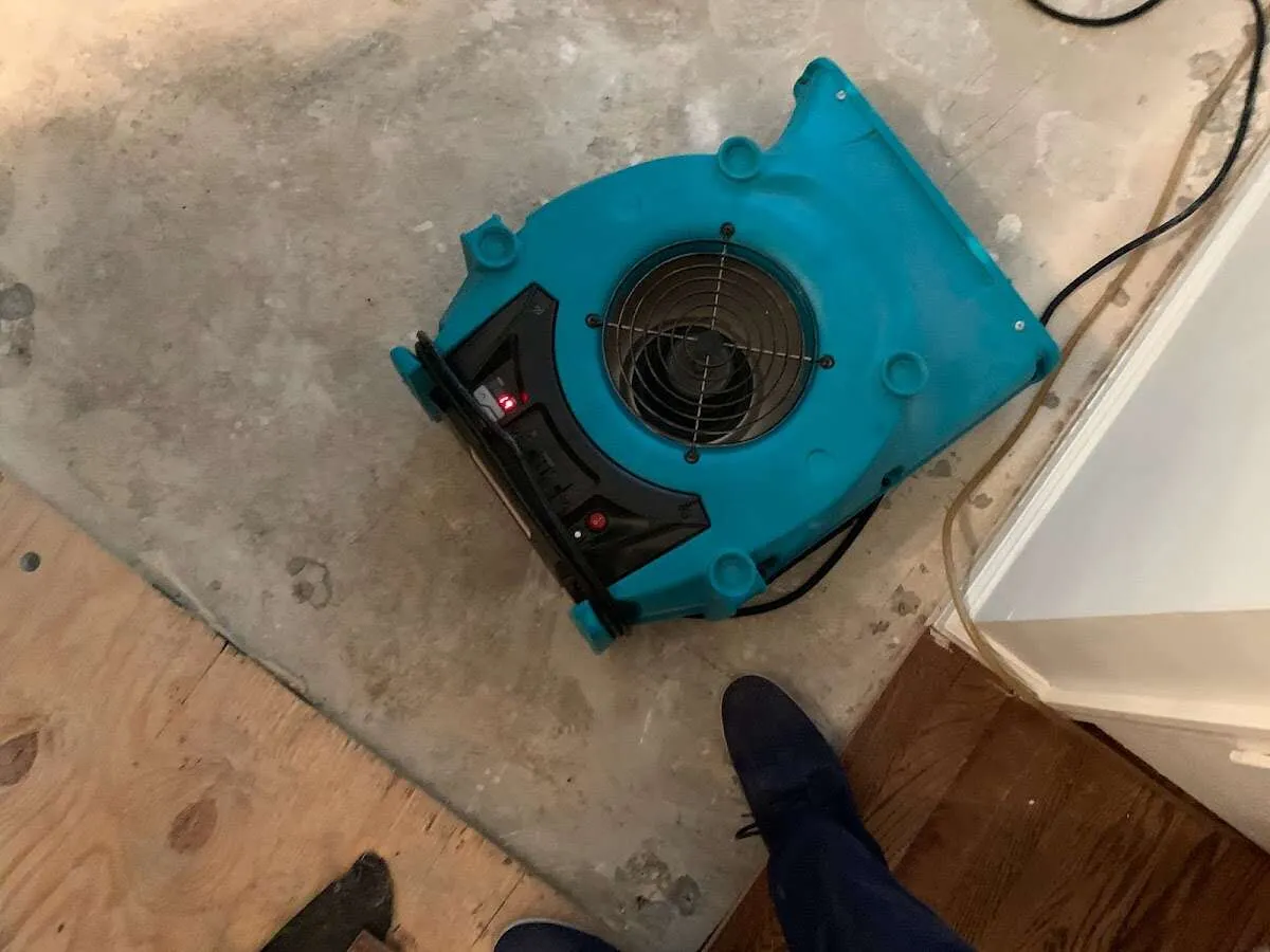 Air mover drying subfloor during Leak Detection & Repair in Mukilteo